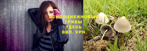 прущий лед Арсеньев